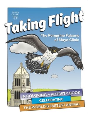 Taking Flight: The Peregrine Falcons Of Mayo Clinic - A Coloring & Activity