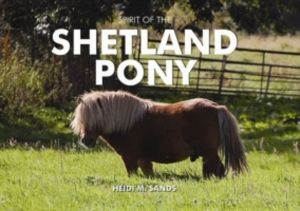 Spirit of the Shetland Pony