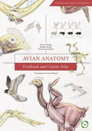 Avian Anatomy 2nd Edition - Textbook and Colour Atlas
