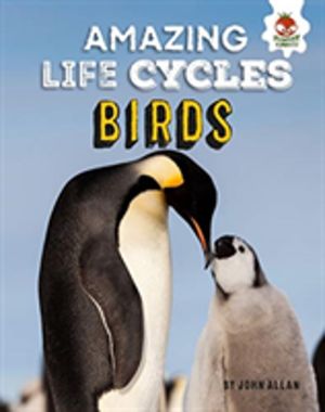 Amazing Life Cycles-Birds