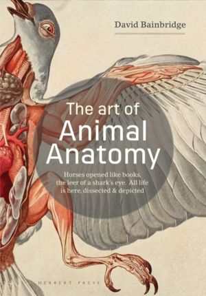 Art of Animal Anatomy - All Life is Here, Dissected and Depicted