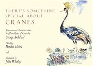 There's Something Special About Cranes - Memories and Anecdotes of the 15 S