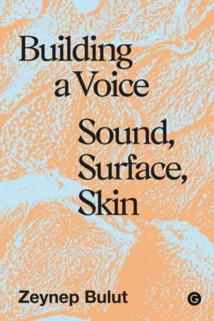 Building a Voice - Sound, Surface, Skin