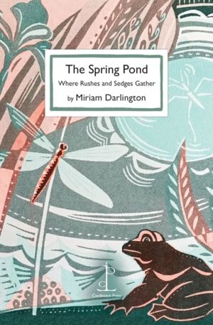 Spring Pond - Where Rushes and Sedges Gather