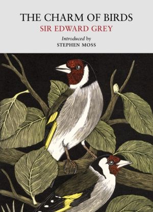Charm of Birds