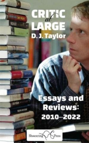 Critic at Large - Essays and Rreviews 2010-2022