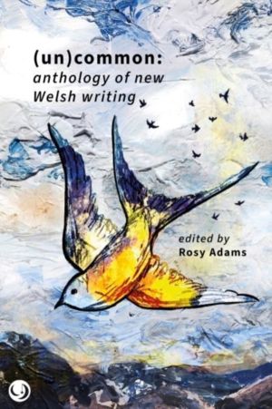 (un)common - anthology of new Welsh writing