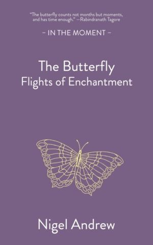 Butterfly - Flights of Enchantment