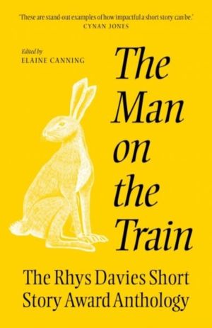 The Man on the Train - The Rhys Davies Short Story Competition Anthology