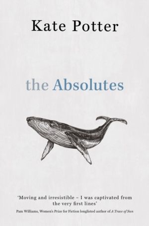 Absolutes - a profound exploration of grief told through fragments of memor