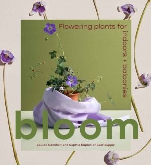 Bloom - Flowering plants for indoors and balconies