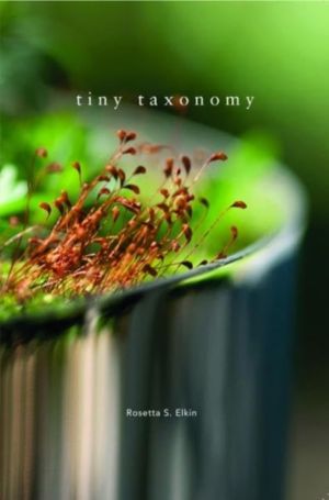 Tiny Taxonomy - Individual Plants in Landscape Architecture