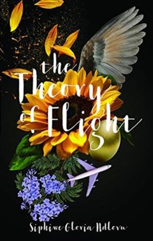 Theory of Flight
