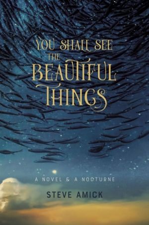 You Shall See the Beautiful Things ÔÇô A Novel & A Nocturne