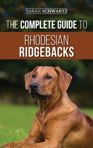 Complete Guide to Rhodesian Ridgebacks - Breed Behavioral Characteristics,