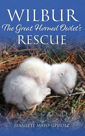 Wilbur - The Great Horned Owlet's Rescue