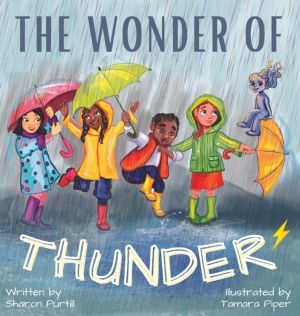Wonder Of Thunder - Lessons From A Thunderstorm