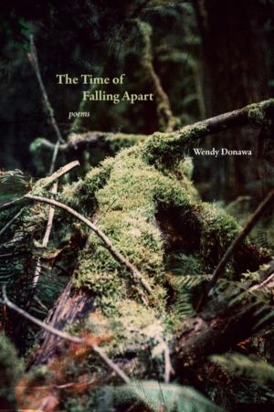 Time of Falling Apart - Poems