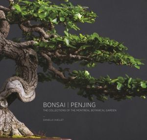 Bonsai | Penjing - The Collections of the Montreal Botanitcal Garden