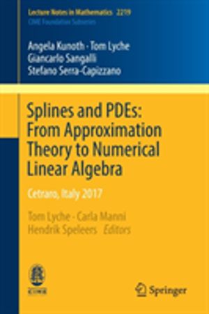 Splines and PDEs: From Approximation Theory to Numerical Linear Algebra - C