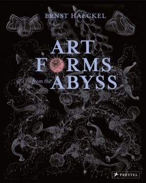 Art Forms from the Abyss - Ernst Haeckel's Images from the HMS Challenger E