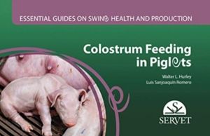Colostrum feeding in piglets. Essential guides on swine health and producti