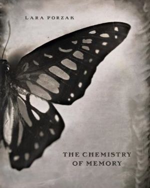 The Chemistry of Memory