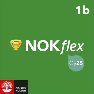 NOKflex Matematik Nivå 1b