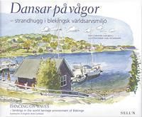 Dansar på vågor : strandhugg i blekingsk världsarvsmiljö = Dancing on waves