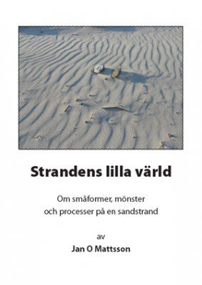 Strandens lilla värld : om småformer, mönster och processer på en sandstrand