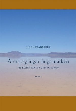 Återspeglingar längs marken : Sju läsningar i Nya testamentet