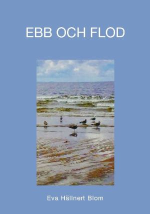 Ebb och flod : En livsresa med existentiella tankegångar