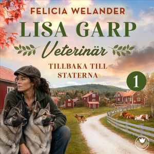 Tillbaka till staterna