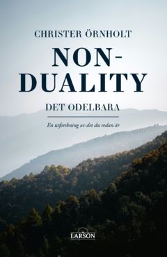 Non-duality – det odelbara  : En utforskning av det du redan är