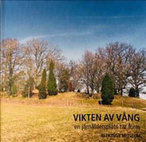 Vikten av Vång : en järnåldersplats tar form