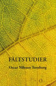 Fältstudier