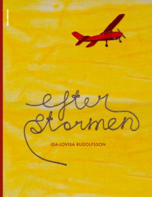 Efter stormen