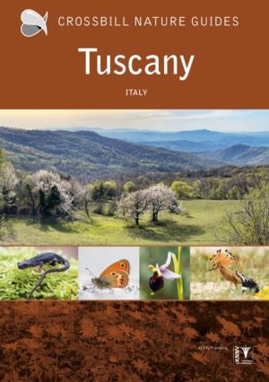 Tuscany - Italy