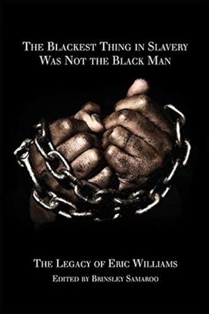 Blackest Thing in Slavery Was not the Black Man - The Last Testament of Eri