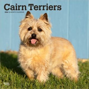 Cairn Terriers 2026 Square Flap Calendar