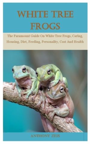 White Tree Frog - The Paramount Guide On White Tree Frogs, Caring, Housing,