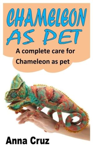 Chameleon as Pet - A Complete Care for Chameleon as Pet