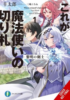 This Is the WizardÔÇÖs Secret Weapon, Vol. 1 (light novel)