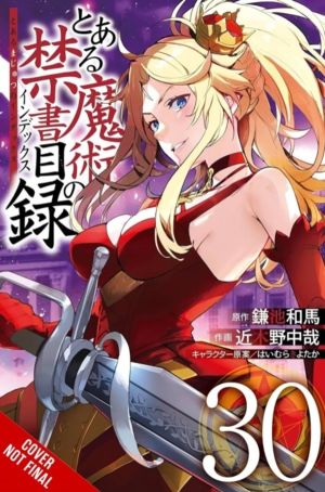 Certain Magical Index, Vol. 30 (manga)