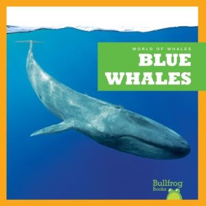 Blue Whales