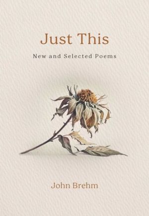 Just This - New and Selected Poems