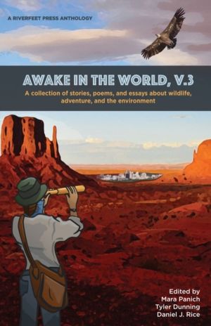 Awake in the World, Volume 3 - Riverfeet Press Anthology