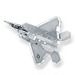 F22 Raptor (1 ark)