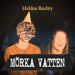 Mörka Vatten, Mordgåta (SE), Hidden Reality