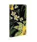 Art of Nature: Botanical Hardcover Ruled Journal